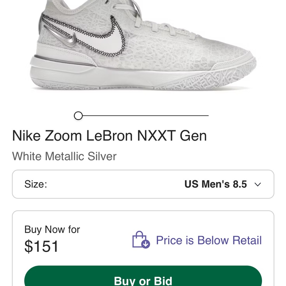Nike Zoom LeBron NXXT Gen White Silver Sneakers